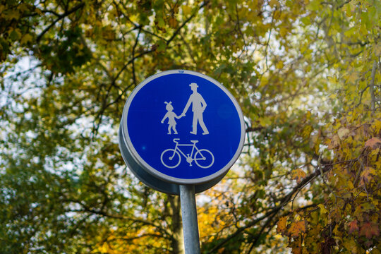blue circular road sign for a shared pedestrian and bicycle path, sign post surrounded by green and yellow autumn leaves on a sunny day, concept of transportation, urban planning, safety - Powered by Adobe