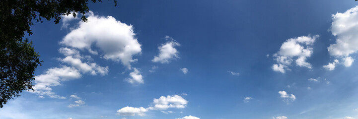 Wide panorama of blue sky with fluffy white clouds and tree outlines