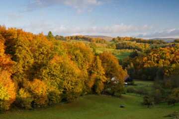 autumn morning in the Odenwald
