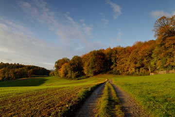 autumn morning in the Odenwald