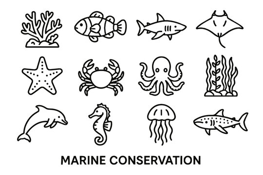 Marine icon ray conservation clownfish vector reef icons forest crab octopus jellyfish