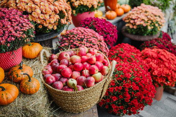 Naklejka premium Abundant autumn harvest of apples and pumpkins with vibrant mum flowers