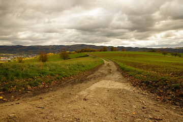 autumn morning in the Odenwald
