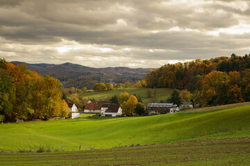 autumn morning in the Odenwald