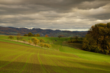 autumn morning in the Odenwald