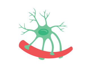 Astrocytes Glial Cells