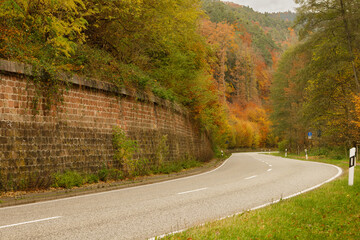 a cloudy autumn morning in the Pfälzerwald
