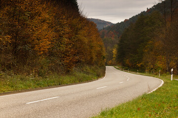 a cloudy autumn morning in the Pfälzerwald