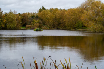 A beautiful morning walk along the Iremongers pond in Nottingham, UK with the trees in autumn color.