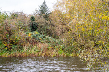 A beautiful morning walk along the Iremongers pond in Nottingham, UK with the trees in autumn color.