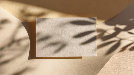 Minimalist abstract paper design with leaf shadows for creative projects and decor,National Letter Writing Day