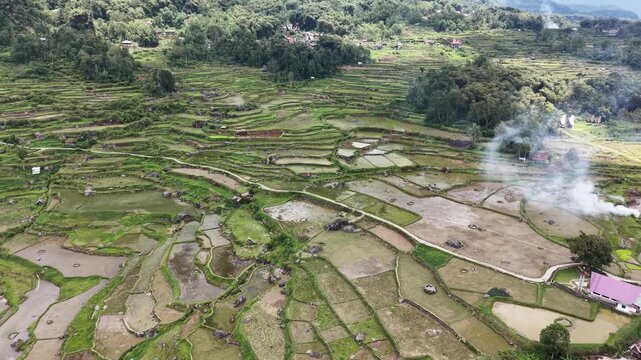 Aerial view of lush rice paddies surrounded by tropical vegetation and forest near Rantepao, Tana Toraja, Indonesia.	