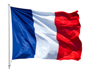 Vibrant tricolor flag waves majestically on a metal flagpole