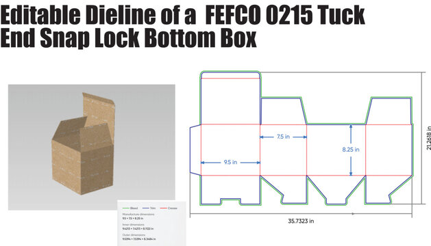 Box template diagram with dimensions and 3d model packaging