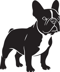 french bulldog vector illustration