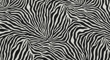 Fototapeta premium Close up of a black and white zebra print pattern with curved lines and a textured appearance overall