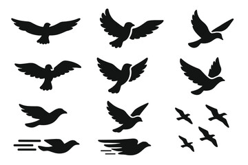 Obraz premium Bird Flight Icons. Solid style icons of bird flight: soaring bird, flapping wings, bird gliding, bird swooping, bird circling,