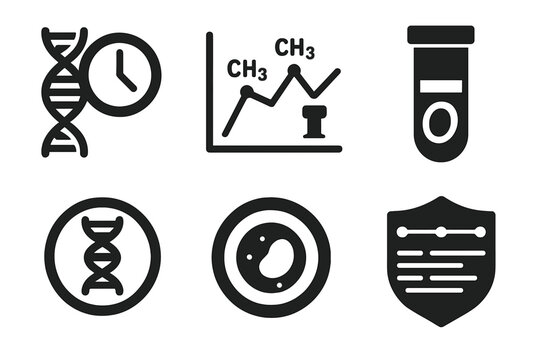 Age Biomarker Icons. Solid style icons of age biomarker tracking: epigenetic clock icon, methylation graph, blood panel chart. Age