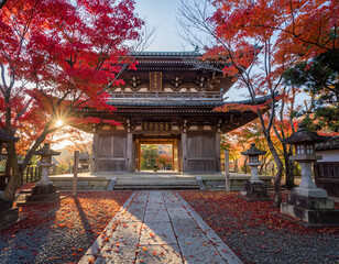 Red Maple Leaves at Ancient Temple in Autumn