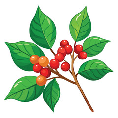 Branch with berries and leaves, botanical illustration, plant drawing branch