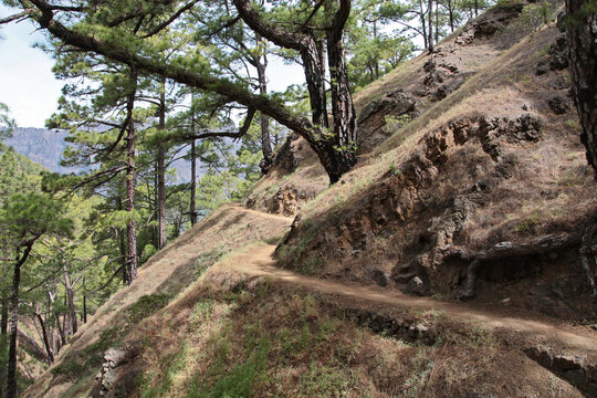 wanderweg in der Kaldera auf der Kanareninsel La Palma