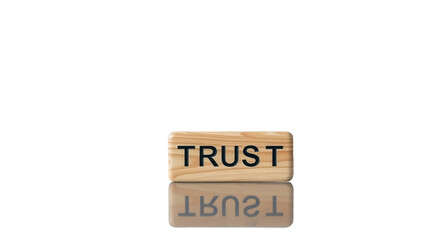 Word of Trust: A solitary wooden block, bearing the word TRUST in bold letters, stands out against a minimal background, embodying the cornerstone of relationships. Reflecting this core belief