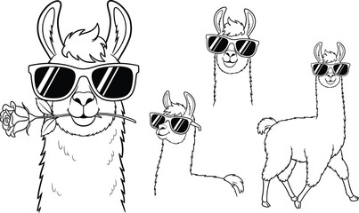 Four stylized llamas wearing sunglasses with one holding a rose isolated on white background