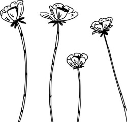 vector illustration of hand drawn flowers