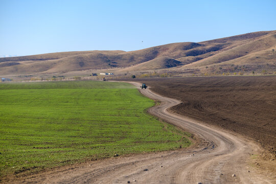 A rural landscape with a dirt road winding between green fields and brown, freshly plowed soil. A tractor moves along the path beneath rolling hills and a clear blue sky