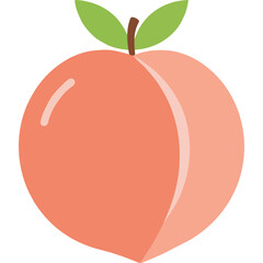 Cute Flat Peach Vector Icon with Transparent Background