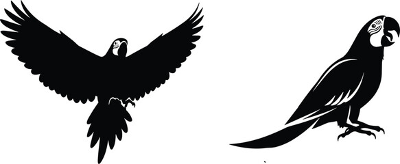 Black parrot silhouette illustration, flying parrot vector, perched parrot design, exotic tropical bird artwork, wildlife drawing, decorative animal graphic © MDHabibullah