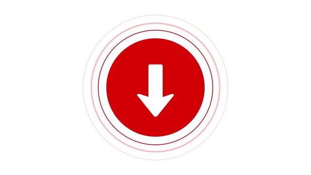 Animated squirrel arrow on a transparent background. Moving arrow down animation. Looping animation of the down arrow icon
