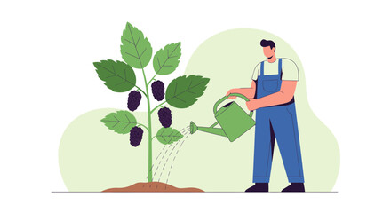 Nurturing Mulberry Tree: Farmer Watering Plant with Green Watering Can, Cultivating Berries