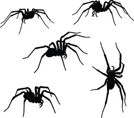 Five silhouettes of spiders in various poses isolated on white background
