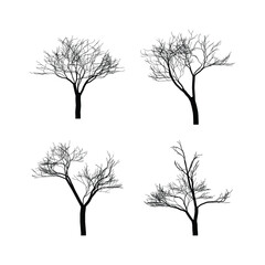 Silhouetted Trees with Bare Branches Against White Background Four Different Trees