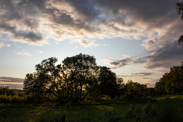Golden hour sun peeks through dark silhouetted trees, casting a peaceful glow over a summer meadow. A tranquil rural landscape, inspiring calm and nature's quiet charm