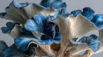 Up-Close Perspective of Fresh Blue Oyster Mushrooms: Edible Fungi for Healthy Homemade Dishes