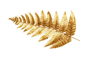 Golden Fern Leaf on Transparent Background Elegant Nature Decor