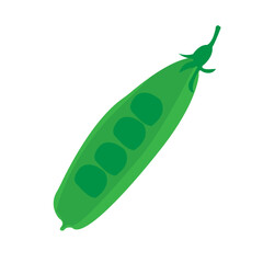 edamame bean vector