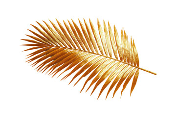 Golden Palm Leaf on Transparent Background Elegant Decorative Natural Element