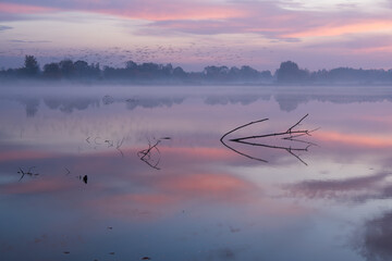 Fototapeta premium Jesienny wschó słońca we mgle, nad wodą. 