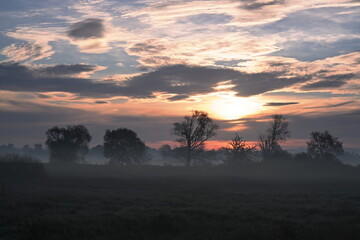 Wschód słonca z sylwetkami drzew w oddali, sezon jesienny.