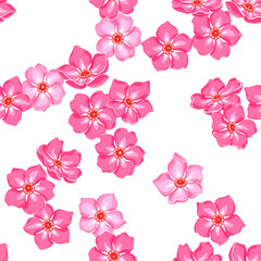 pink forget-me-not flowers on white background. summer floral seamless pattern, vector illustration