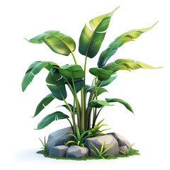 A stylized 3D illustration of a lush tropical plant with large green leaves growing among rocks on a white background.