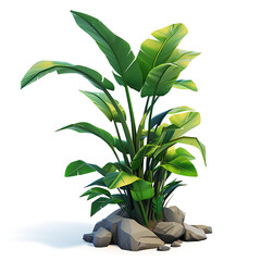A stylized tropical plant with large green leaves growing from rocks on a white background, rendered digitally.