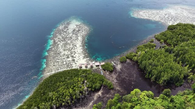 Aerial view of a vibrant blue lagoon surrounded by coral reefs and dense coastal jungle in Raja Ampat, Indonesia.	