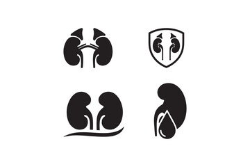 Kidney anatomy silhouette icon collection Human kidney organ black and white design