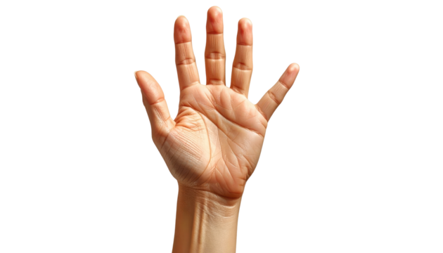 hyper-realistic human hand with natural skin texture, positioned vertically isolated on transparent background. PNG