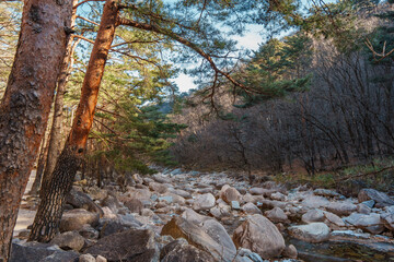 Frozen rocky stream in Seoraksan National Park, Sokcho, South Korea