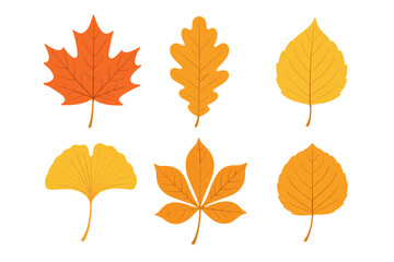 Six colorful autumn tree leaves including maple oak ginkgo and chestnut foliage